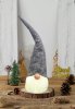 Christmas Gnome LED YX039 40cm Grey