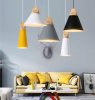 Pendant Lamp TOOLIGHT APP057-1CP SCANDI B Black/ 14,5x26 cm E27
