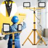 Construction LED halogen lamp on a stand RSL005-2x50N