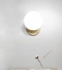 Wall Light Toolight APP950-1W E27 gold