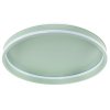 CEILING LAMP APP1463 GREEN