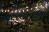 Outdoor garland black WOJ+14342