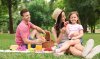 Picnic blanket Gray 150x130x1cm