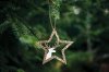 Set of 2 Christmas decorations KL-21X12 Brown