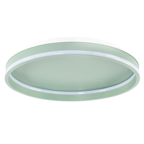 CEILING LAMP APP1463 GREEN