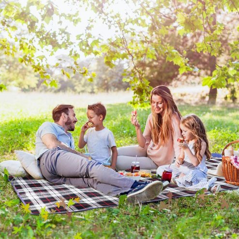 Picnic blanket Gray 150x130x1cm