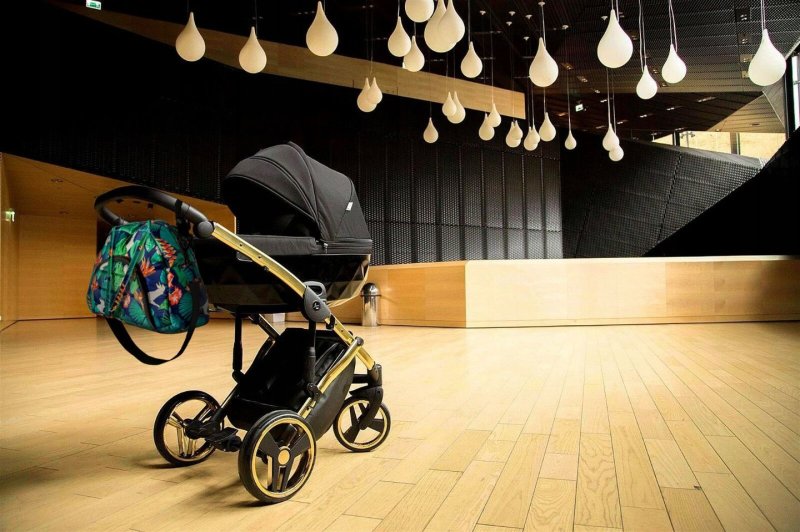 Baby Stroller Bag with rope Organizer FLAMING